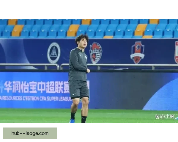 赛季初雄狮惊艳开局后连败沉沦最终艰难保级