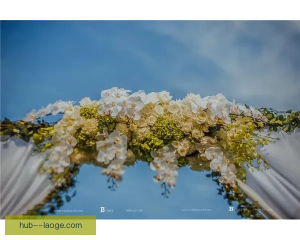 追随绿茵梦想 北美世界杯征程全景呈现
